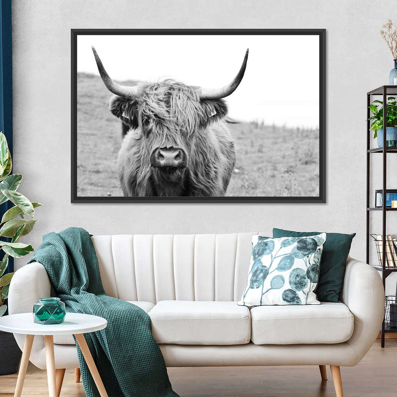 Solitary Highland Cow Wall Art