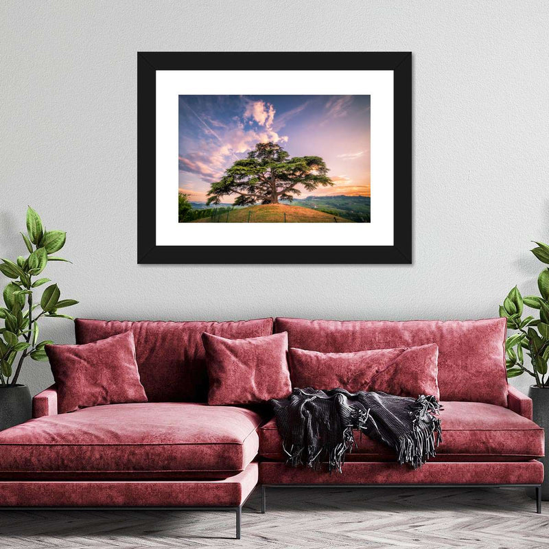 Majestic Cedar Of Lebanon Wall Art