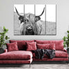 Solitary Highland Cow Wall Art