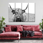 Solitary Highland Cow Wall Art