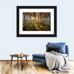 Swedish Birch Forest Wall Art