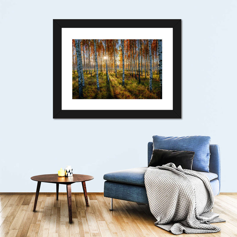 Swedish Birch Forest Wall Art