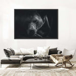 Monochrome Brown Bear Wall Art