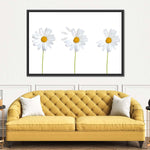 Plucked Daisies Wall Art