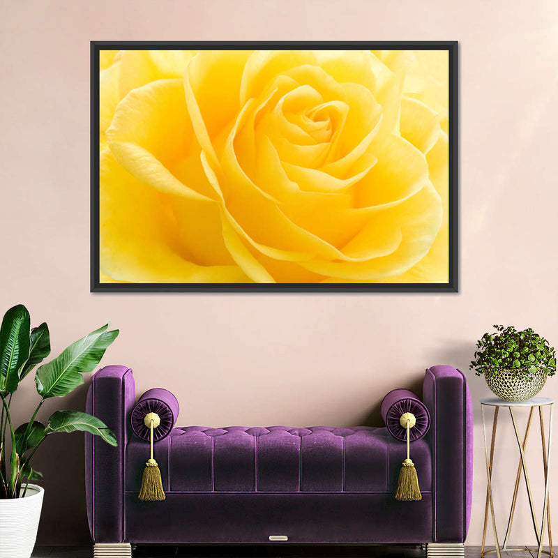 Yellow Rose Petals Wall Art