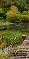 Loch Ard Boathouse Wall Art
