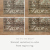 Billie Amber Lewis x Loloi Clay / Sage Rug