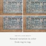 Billie Amber Lewis x Loloi Denim / Blush Rug