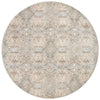 Zuma Amber Lewis x Loloi Silver / Multi Rug