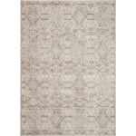 Zuma Amber Lewis x Loloi Silver / Multi Rug