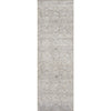 Zuma Amber Lewis x Loloi Silver / Sky Rug