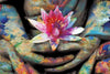 Lotus Flower In Hand Wall Art