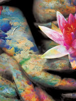 Lotus Flower In Hand Wall Art