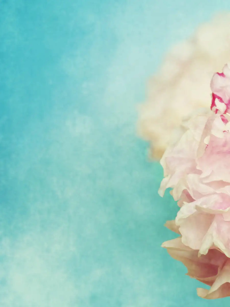 Lovely Peony Wall Art