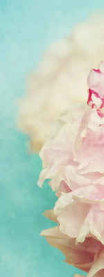 Lovely Peony Wall Art