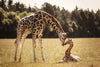 Loving Giraffes Wall Art