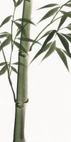 Lucky Bamboos Wall Art