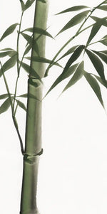 Lucky Bamboos Wall Art