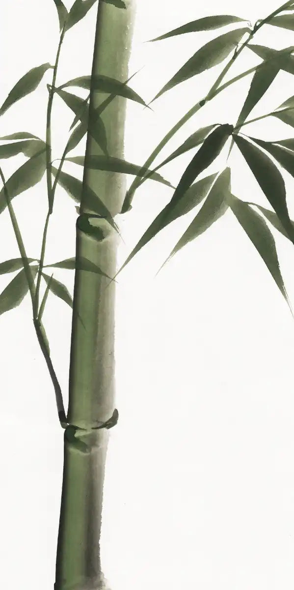 Lucky Bamboos Wall Art