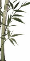 Lucky Bamboos Wall Art