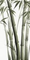 Lucky Bamboos Wall Art