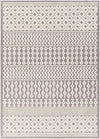 Drago Gray Washable Area Rug