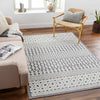 Drago Gray Washable Area Rug