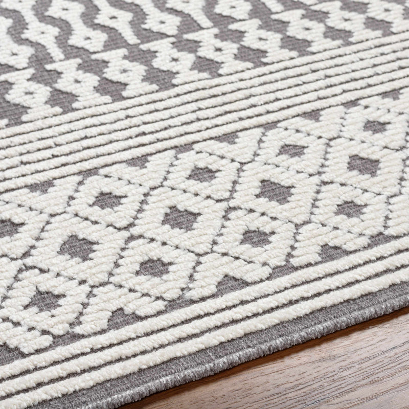 Drago Gray Washable Area Rug