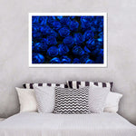 Royal Blue Roses Wall Art