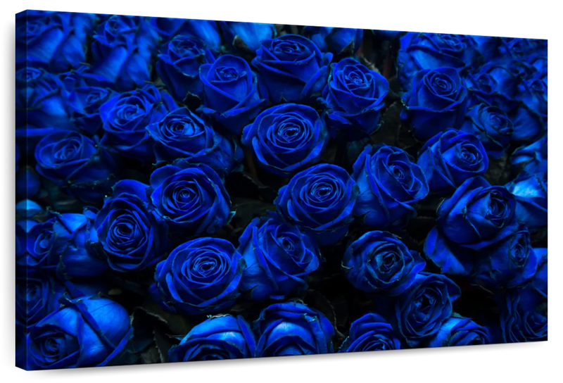 Royal Blue Roses Wall Art