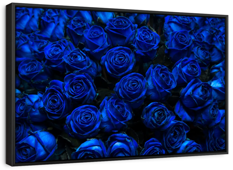 Royal Blue Roses Wall Art