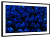 Royal Blue Roses Wall Art