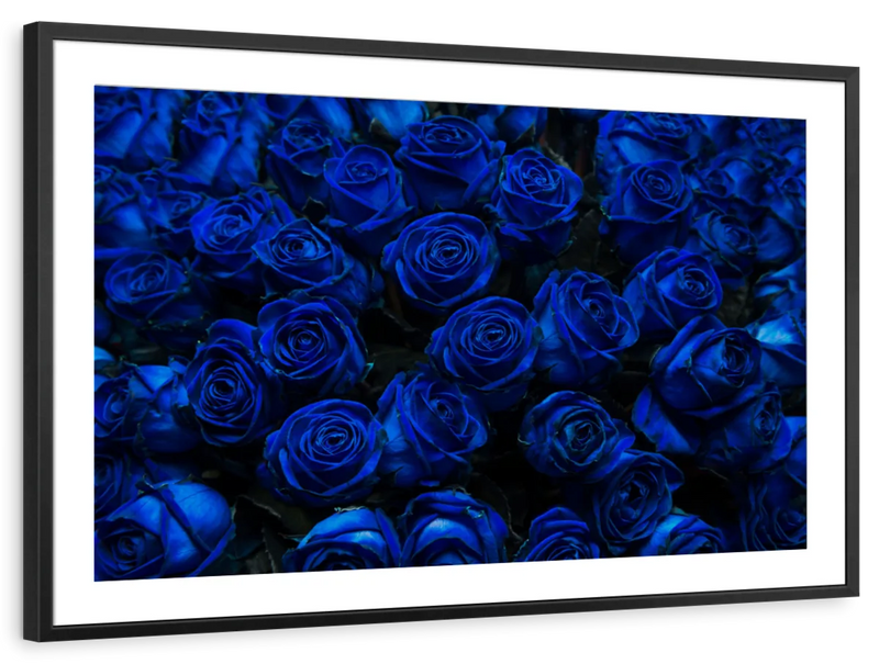 Royal Blue Roses Wall Art