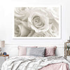 Pure White Roses Wall Art