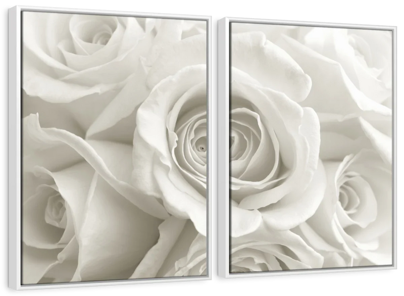 Pure White Roses Wall Art