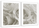 Pure White Roses Wall Art