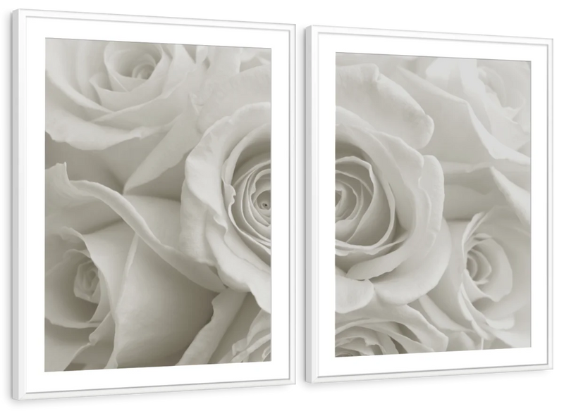Pure White Roses Wall Art