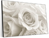 Pure White Roses Wall Art