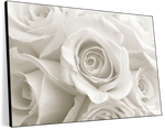 Pure White Roses Wall Art