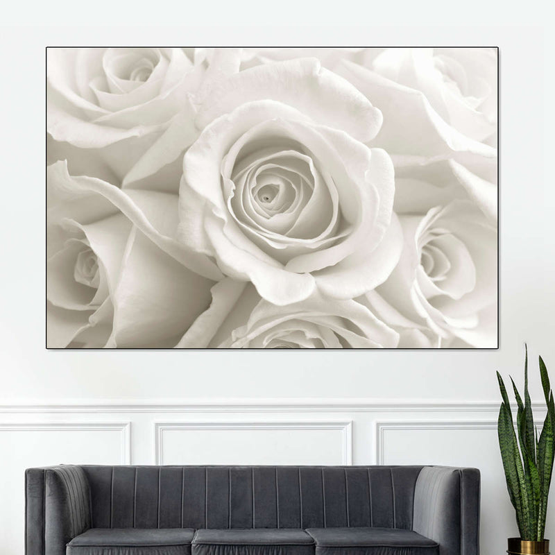 Pure White Roses Wall Art