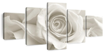 Pure White Roses Wall Art
