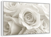 Pure White Roses Wall Art