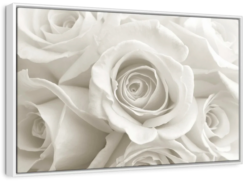 Pure White Roses Wall Art