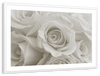 Pure White Roses Wall Art