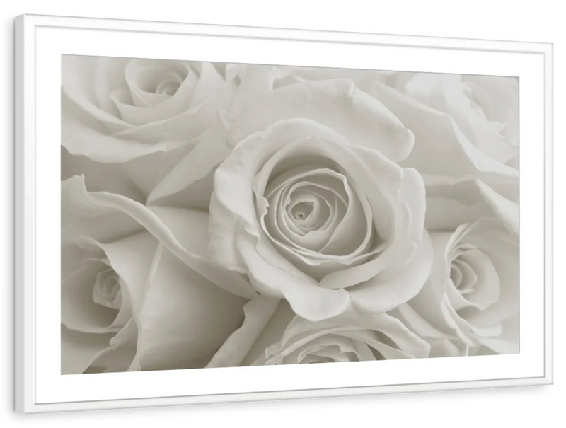 Pure White Roses Wall Art