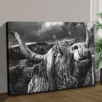 West Highland Cow Monochrome Canvas Wall Art