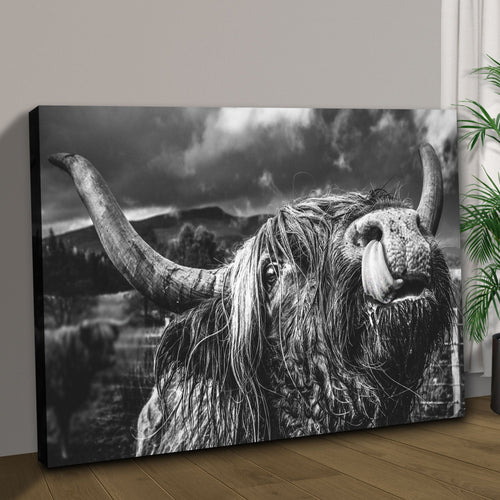 West Highland Cow Monochrome Canvas Wall Art