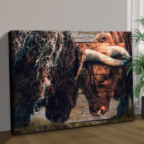 Highland Cow Sparring Canvas Wall Art