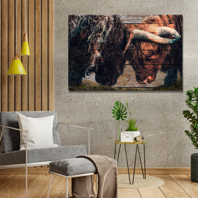 Highland Cow Sparring Canvas Wall Art