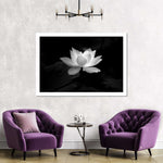 Lotus Flower Monochrome Wall Art